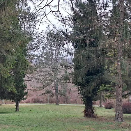 Barbi Залакарош